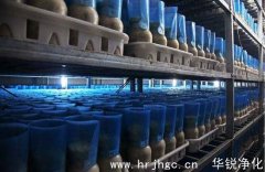 小型食用菌工廠化生產(chǎn)方案