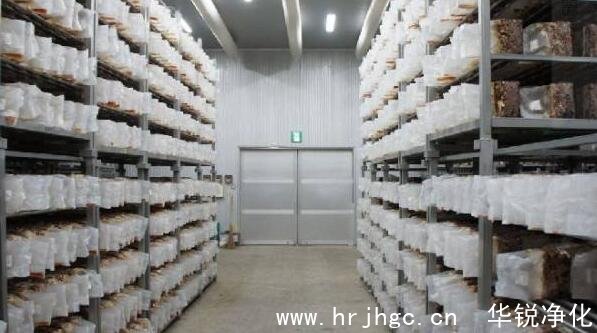 食用菌工廠化設計