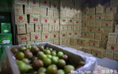 恒溫倉庫的使用目的和操作說明