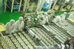 對(duì)于食品凈化工程的標(biāo)準(zhǔn)理解